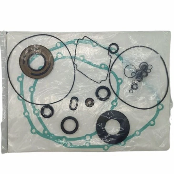 Overhaul Kit For Audi (2)(001)